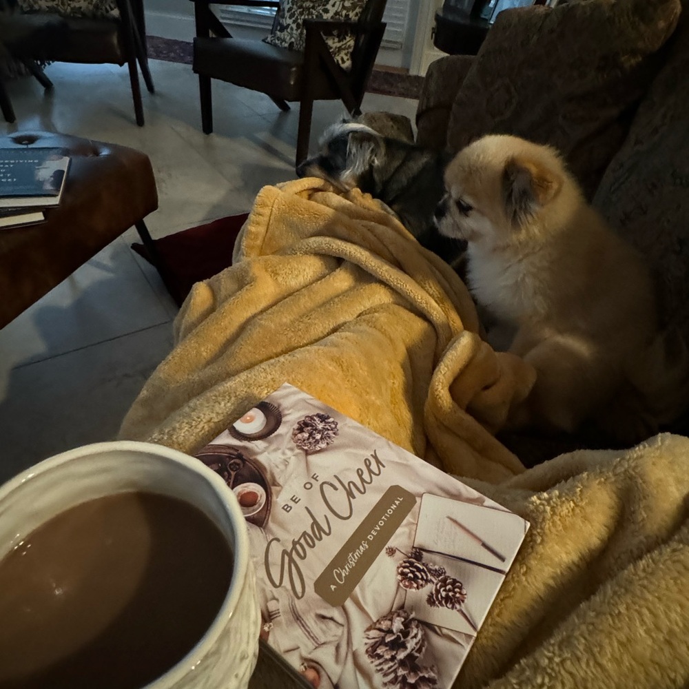 Meet your Posher, Tysha